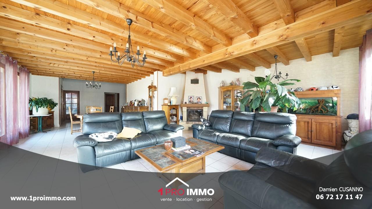 Maison à vendre, 200m², Saint-Quentin-sur-Isère