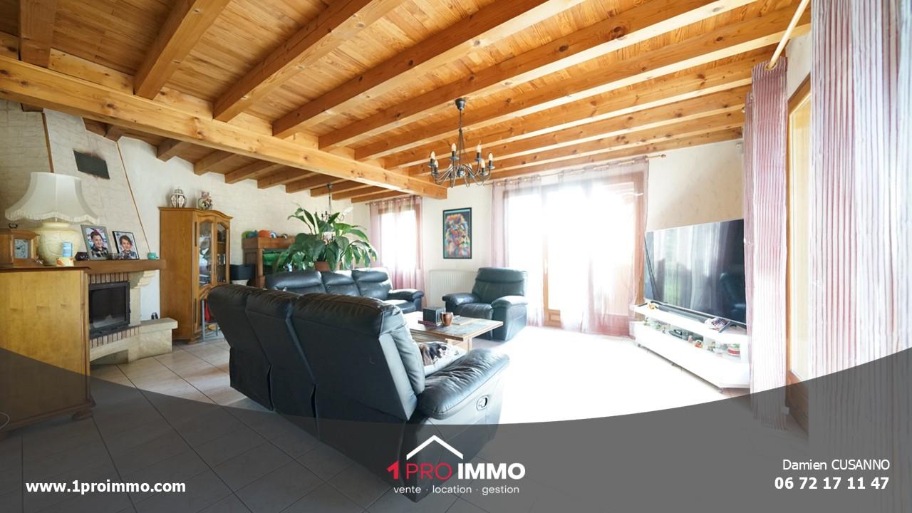 Maison à vendre, 200m², Saint-Quentin-sur-Isère
