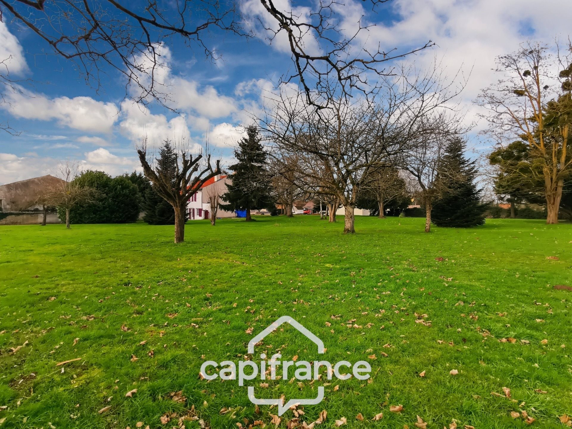 Maison à vendre, 170m², Bragny-sur-Saône