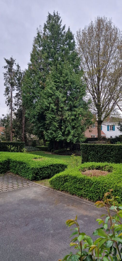Appartement à vendre, 45m², Croix