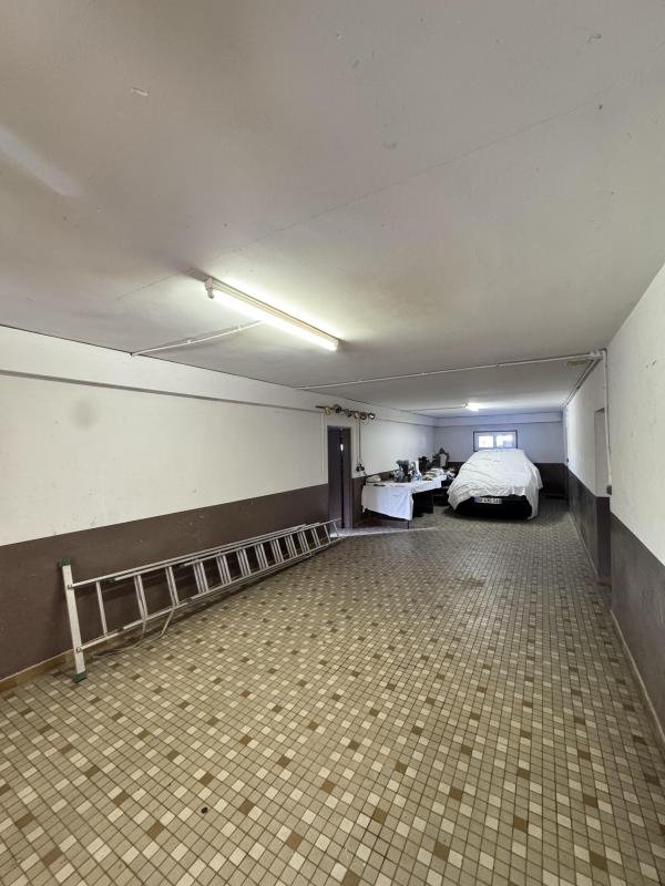 Maison à vendre, 354m², Mions