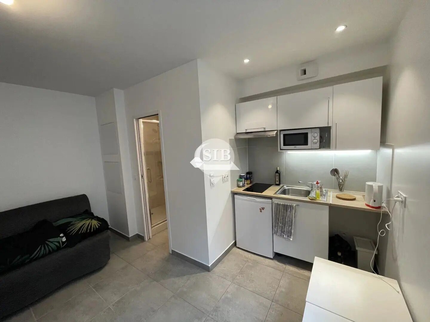 Appartement à louer, 19m², Palaiseau