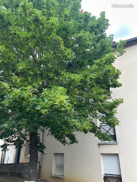 Appartement à vendre, 77m², Fameck
