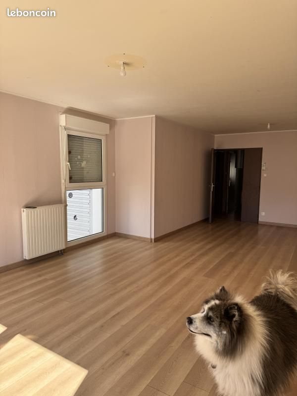 Appartement à vendre, 80m², Nancy