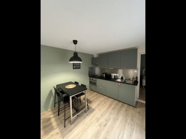 Appartement à louer, 33m², Villeurbanne