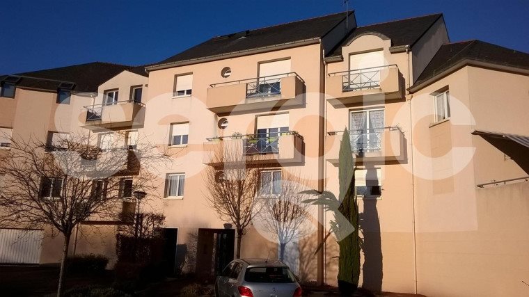 Appartement à louer, 39m², Sainte-Gemmes-sur-Loire