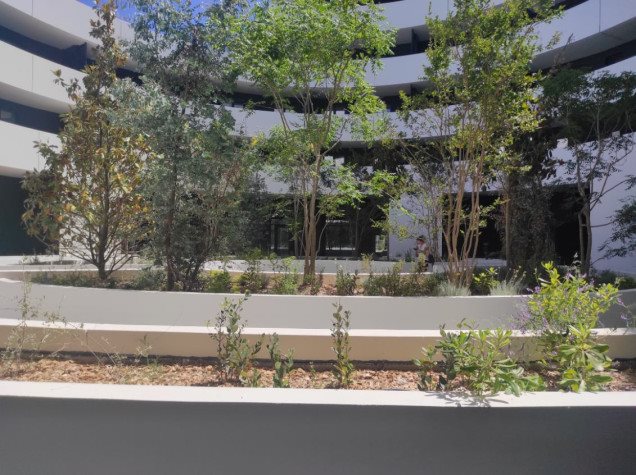 Appartement à louer, 26m², Agde (Cap d'Agde)
