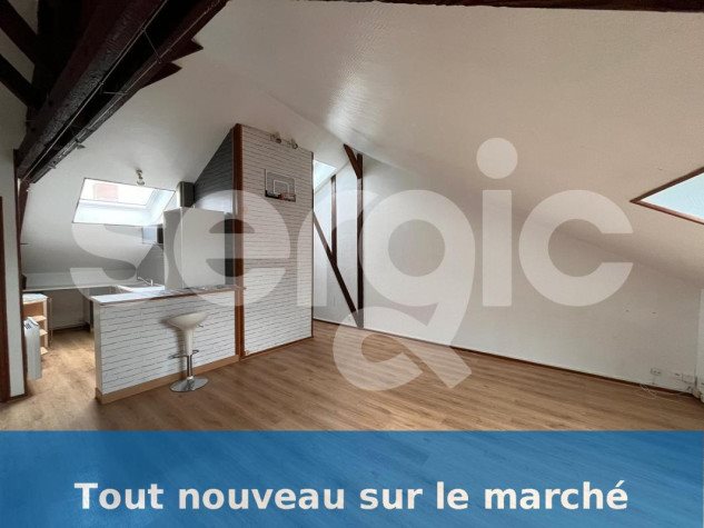 Appartement à louer, 45m², Reims
