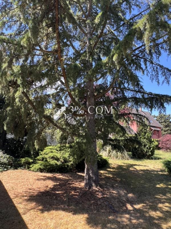 Maison à vendre, 171m², Sélestat