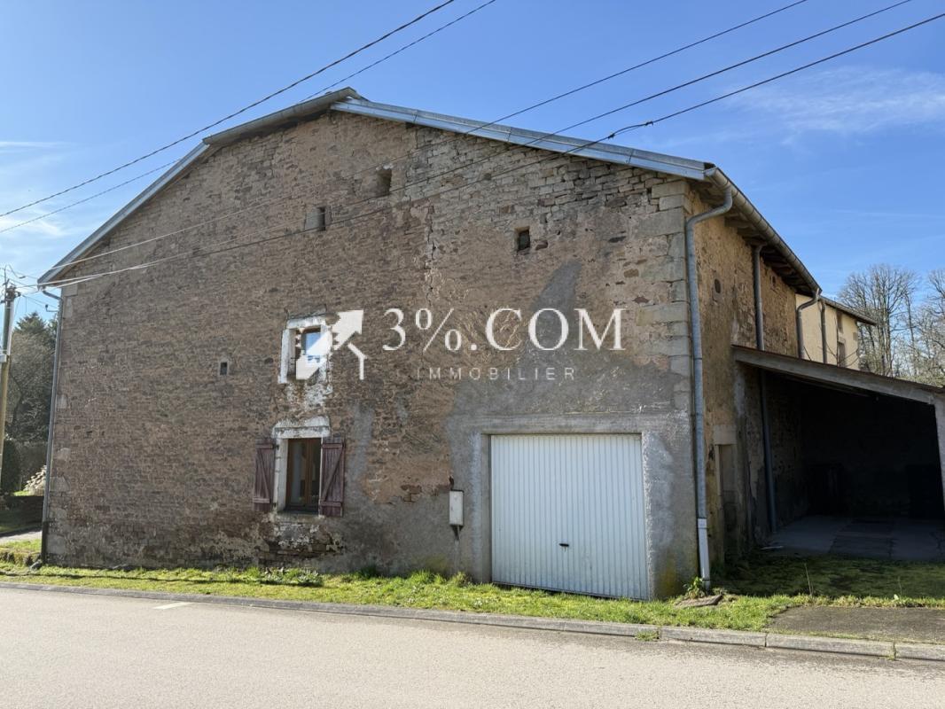 Maison à vendre, 150m², La Vôge-les-Bains