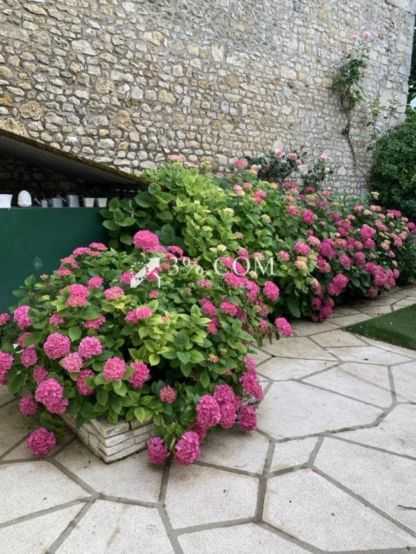 Maison à vendre, 228m², Chauvigny