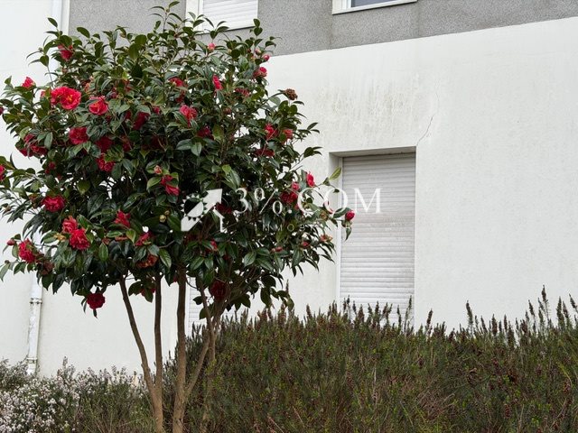 Appartement à vendre, 33m², Vertou