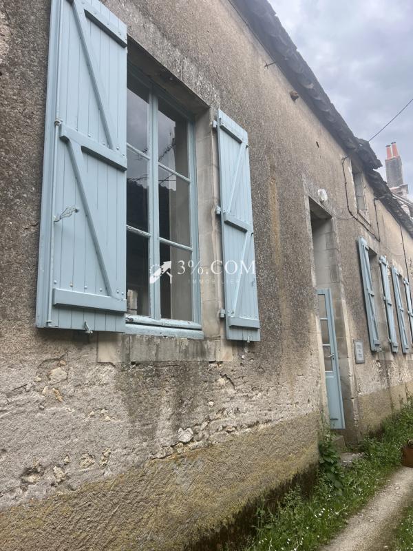 Maison à vendre, 250m², Angles-sur-l'Anglin