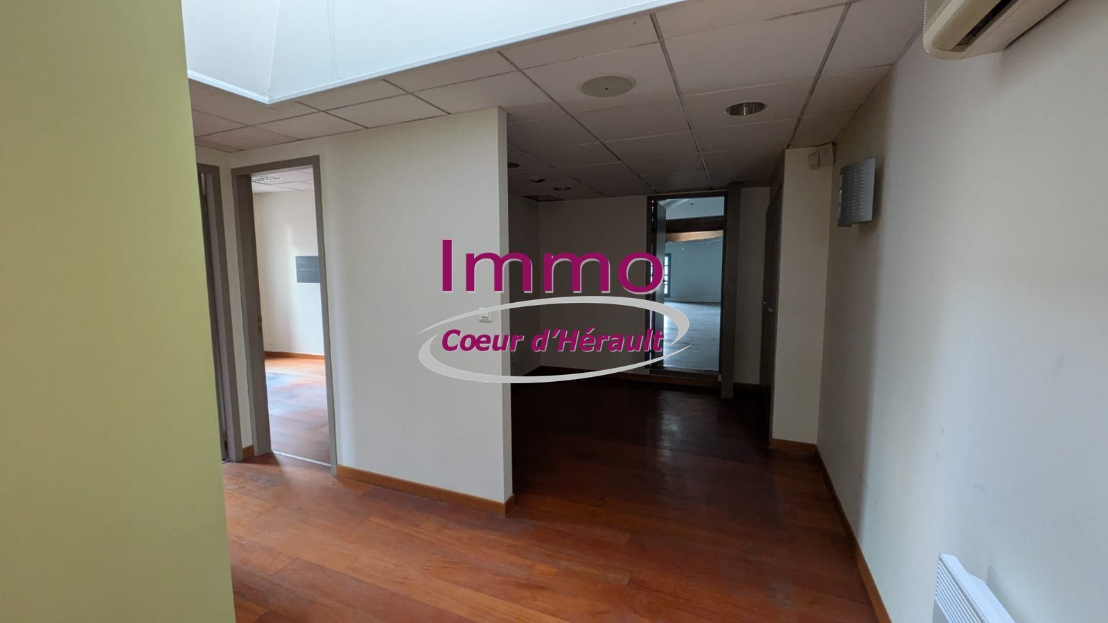 Maison à vendre, 565m², Gignac