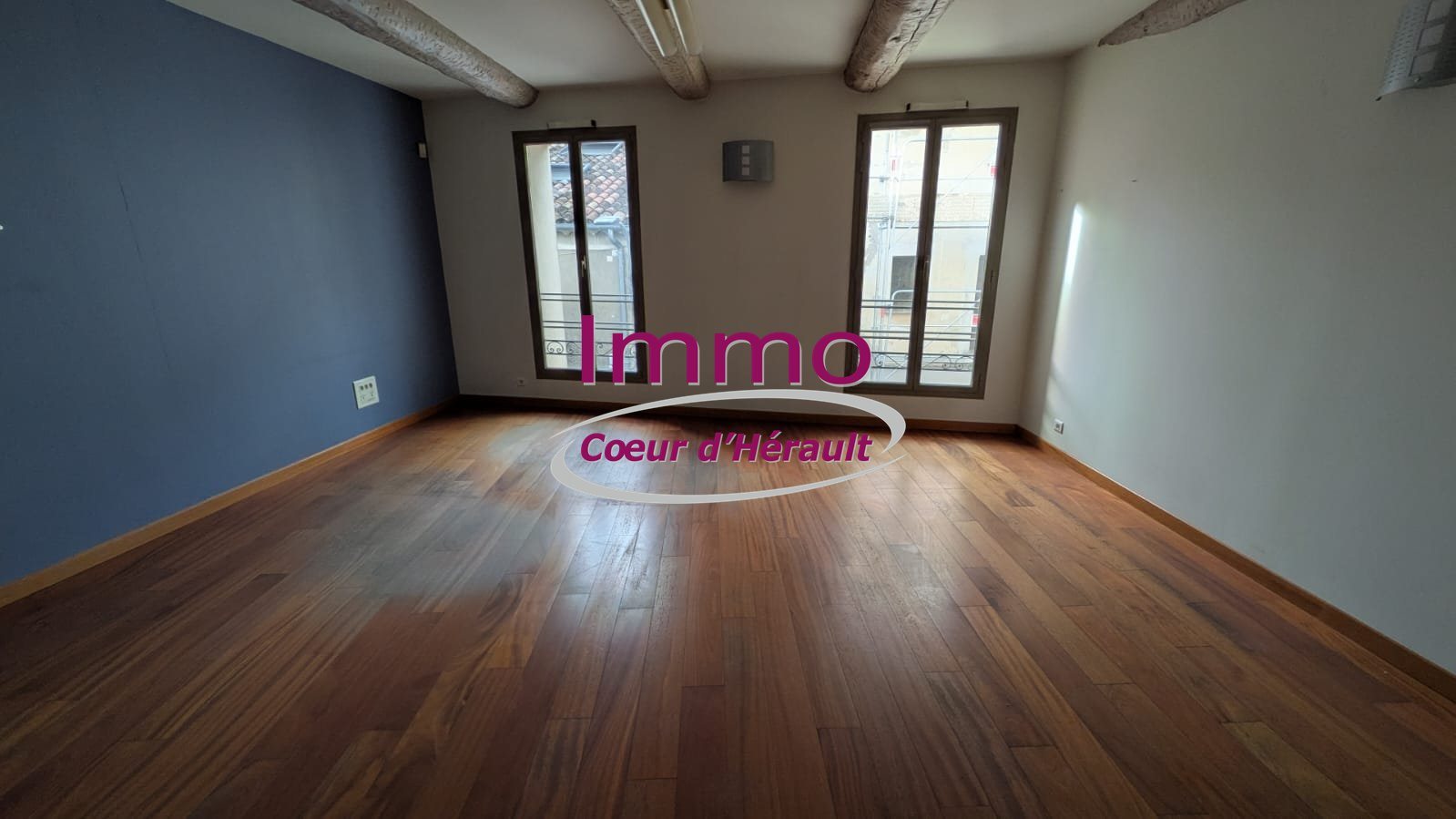 Maison à vendre, 565m², Gignac