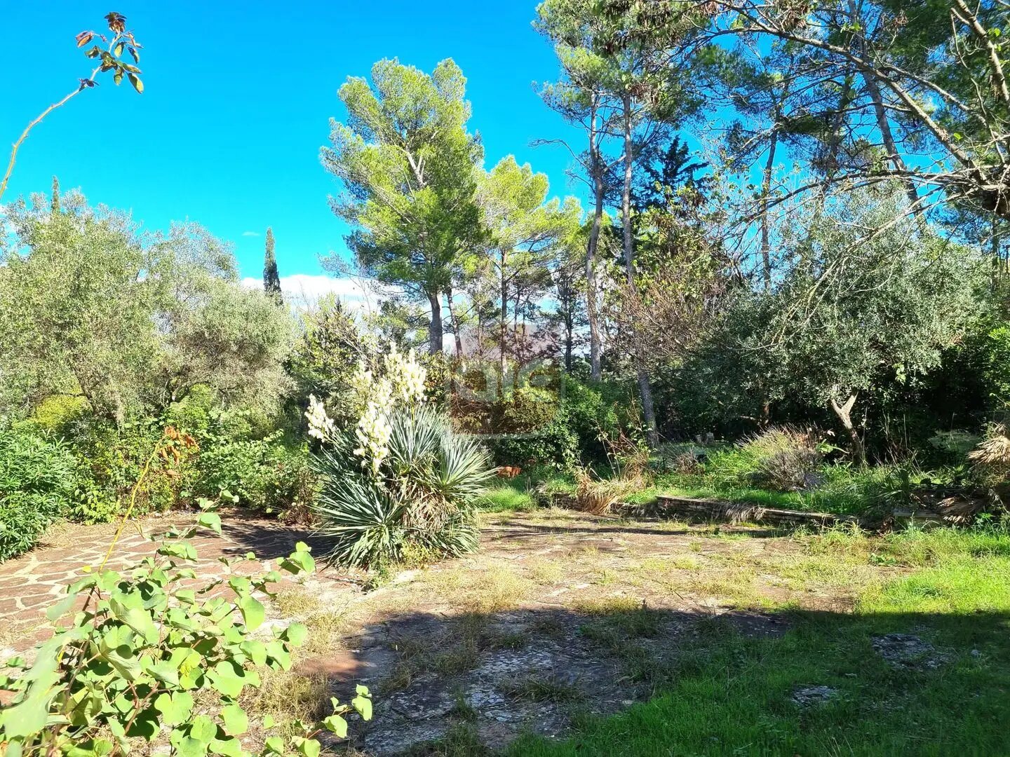 Maison à vendre, 178m², Montferrier-sur-Lez