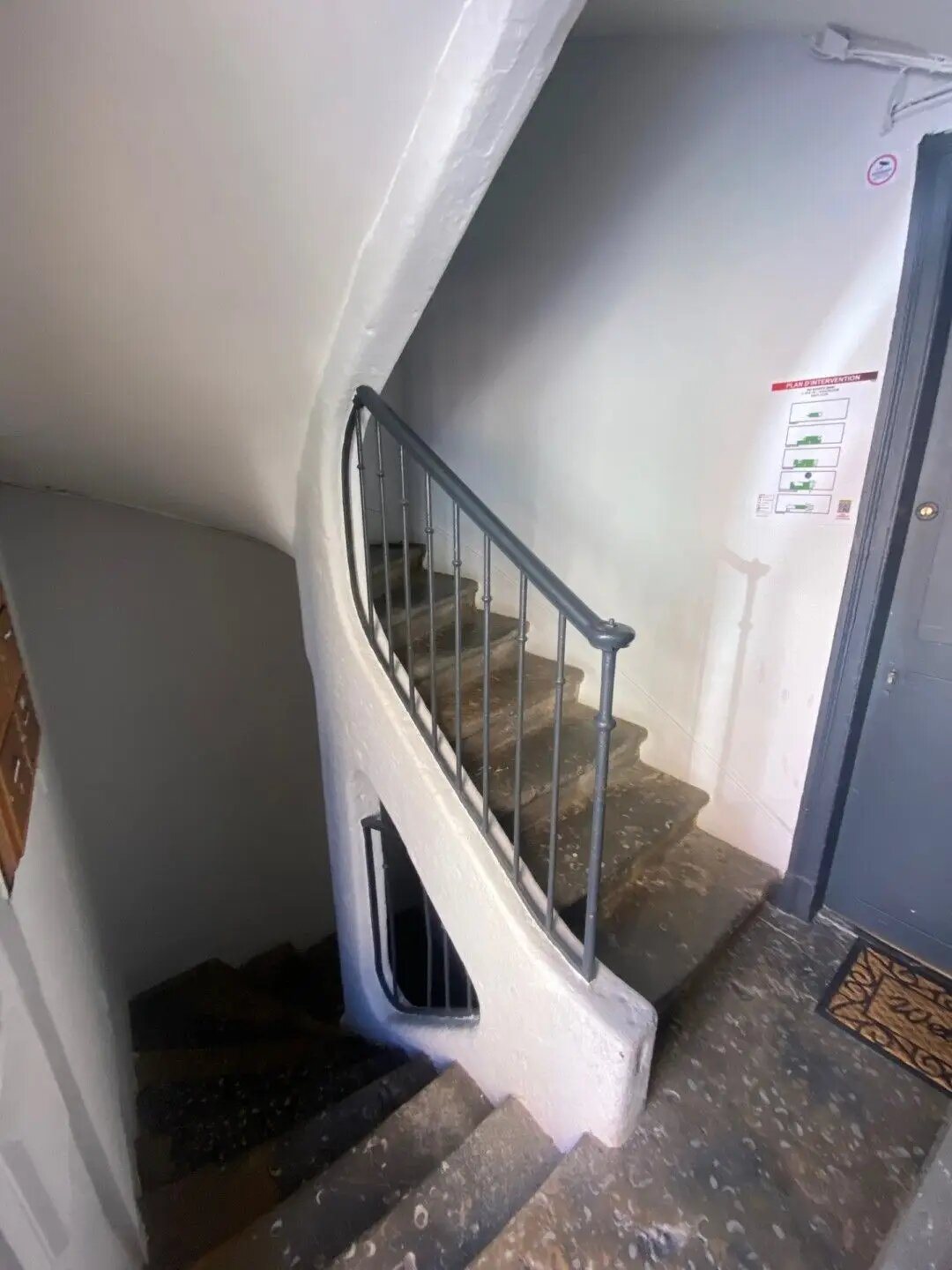 Appartement à vendre, 220m², Lyon 1er