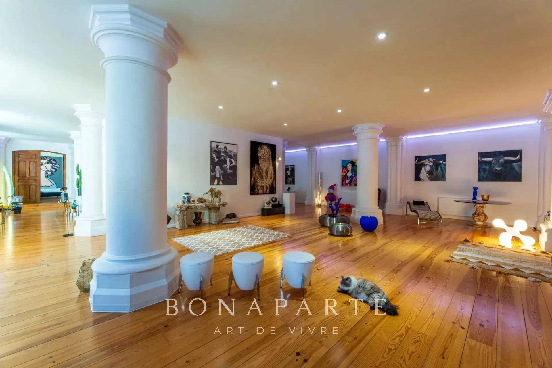 Maison à vendre, 354m², Pau