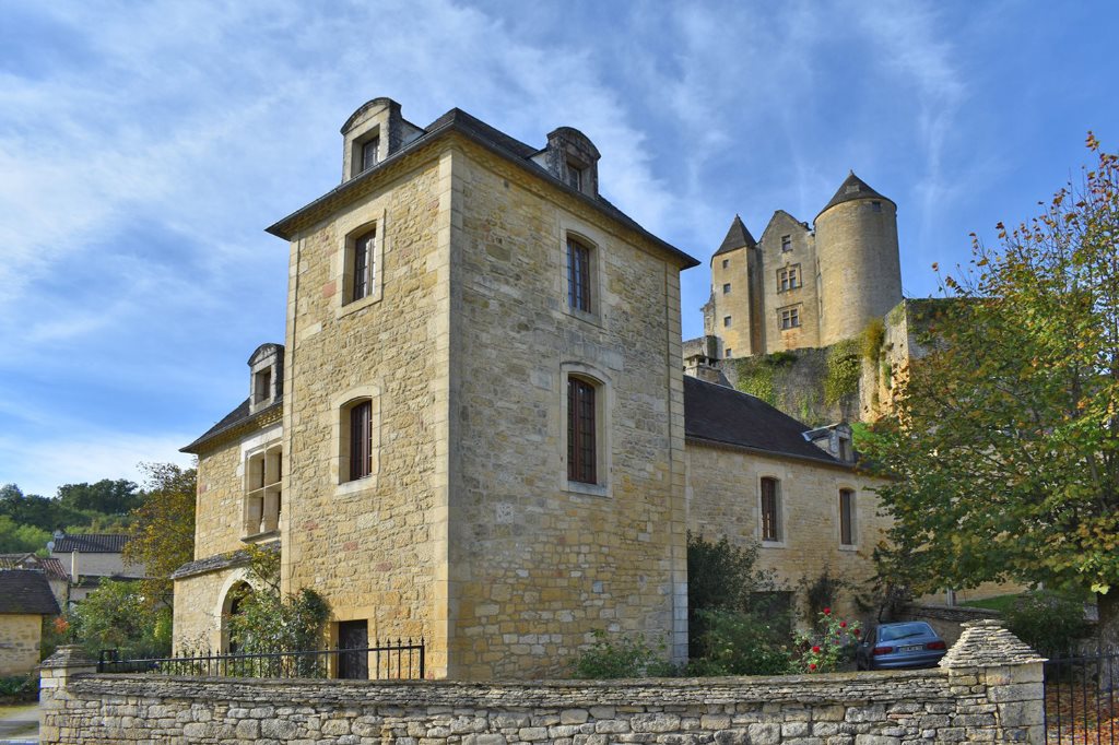 Maison à vendre, 275m², Salignac-Eyvigues