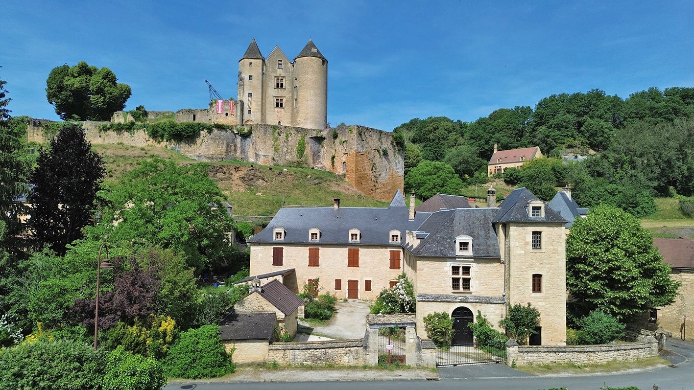 Maison à vendre, 275m², Salignac-Eyvigues