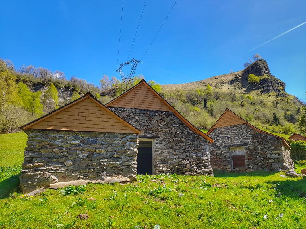 Maison à vendre, 175m², Eaux-Bonnes