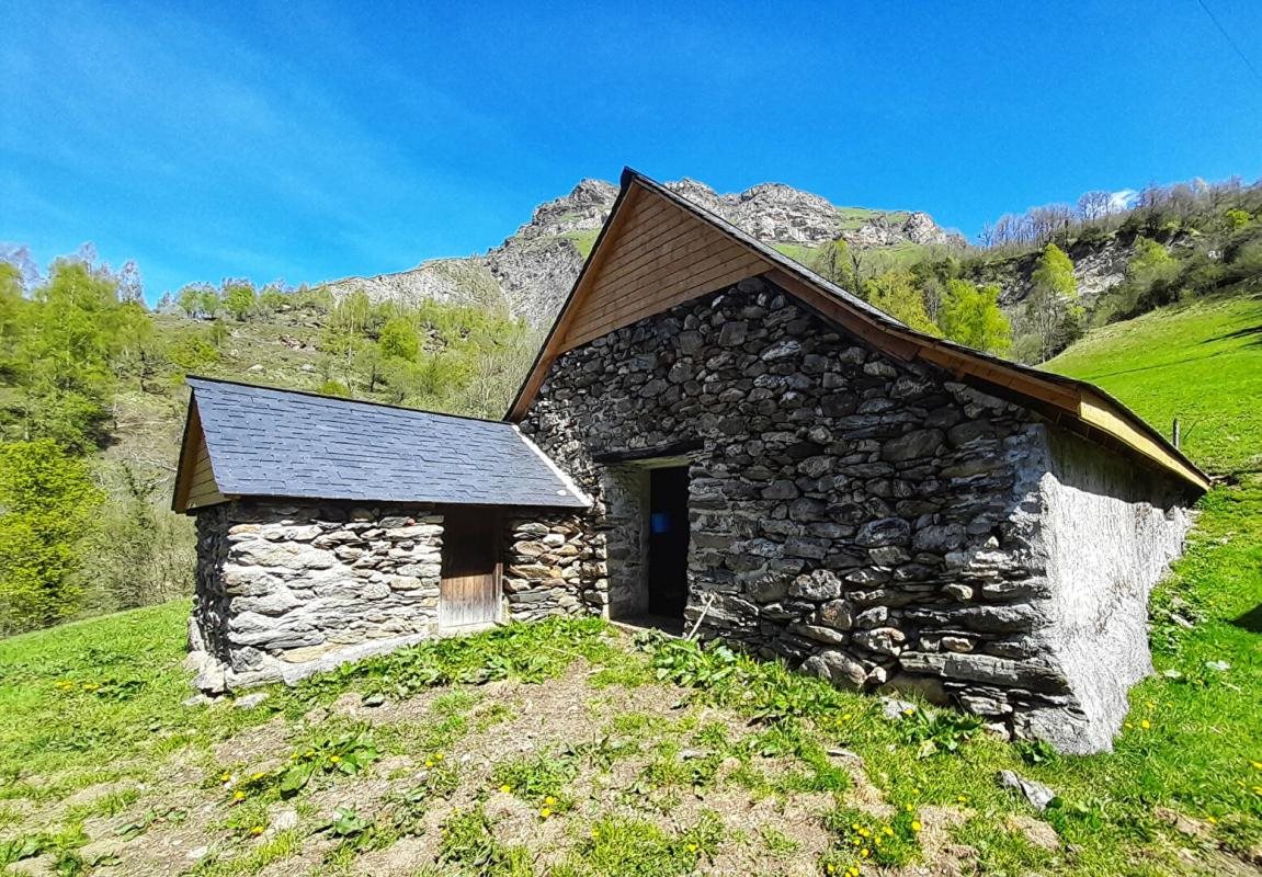 Maison à vendre, 175m², Eaux-Bonnes