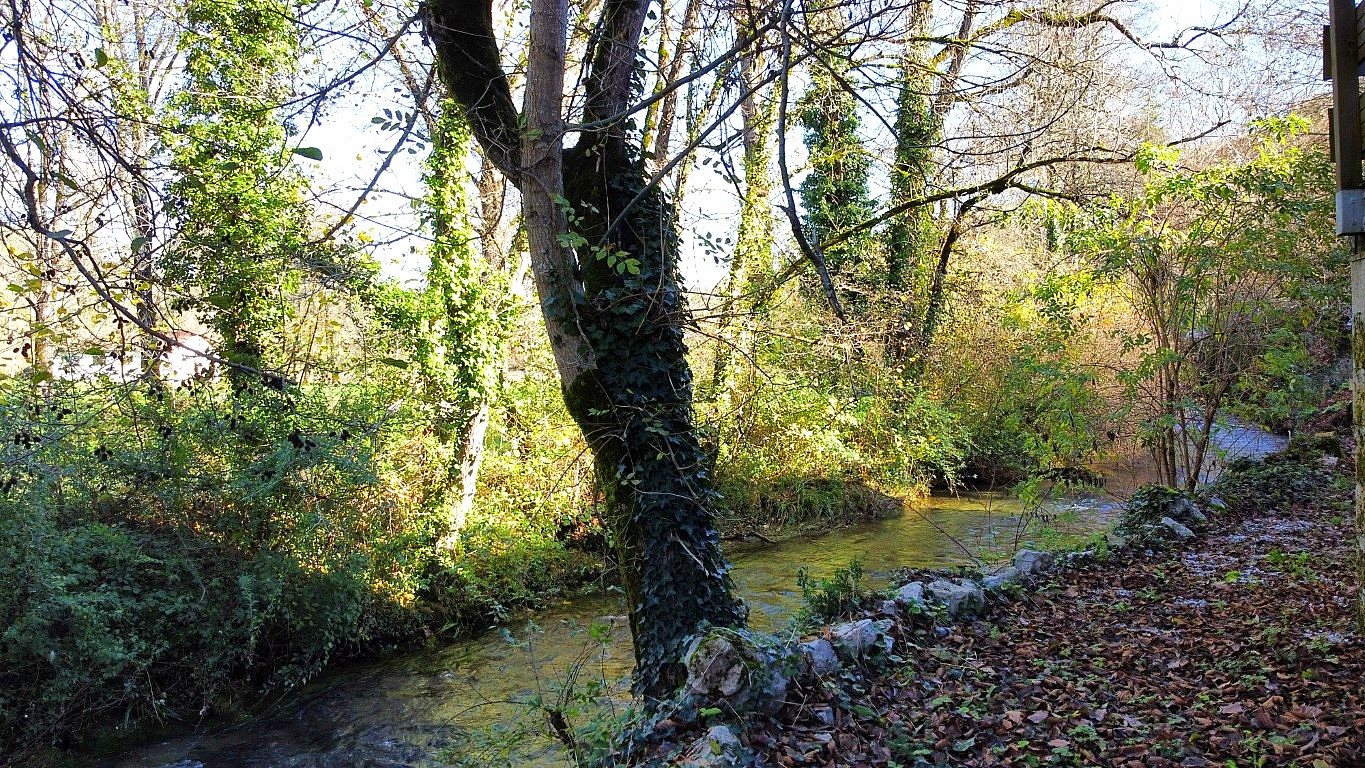Maison à vendre, 455m², Labastide-du-Vert