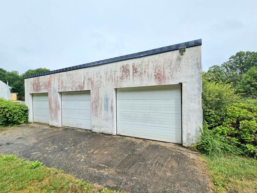 Maison à vendre, 104m², Lanvénégen