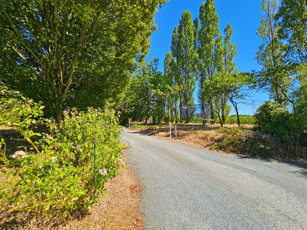Maison à vendre, 250m², Bellevigne-en-Layon