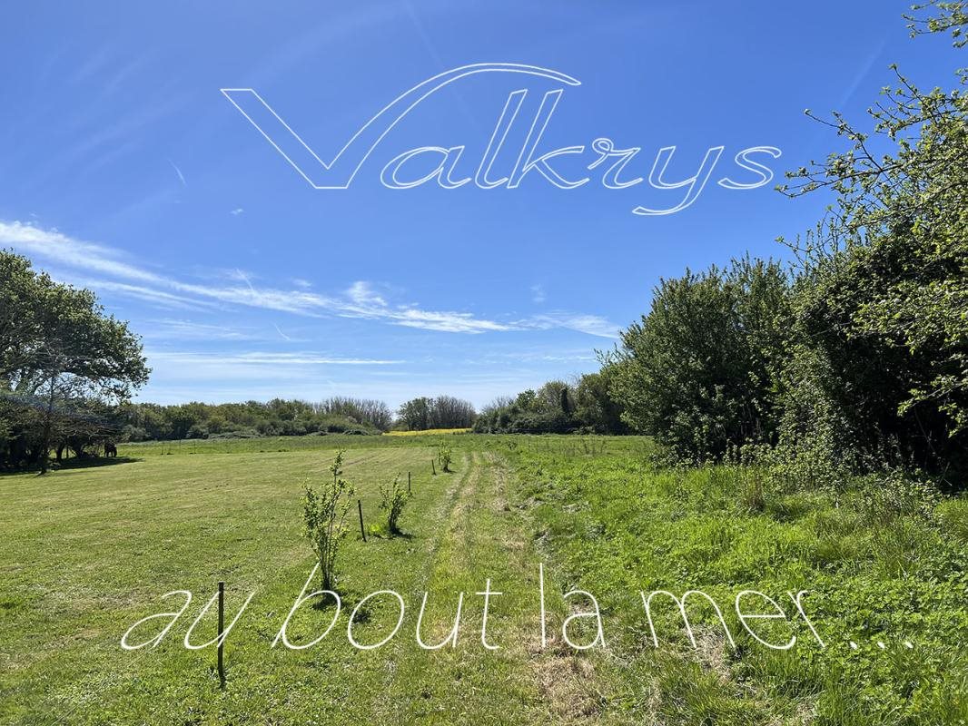 Maison à vendre, 650m², Moëlan-sur-Mer