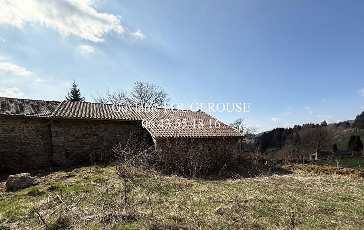 Maison à vendre, 150m², Saint-Anthème