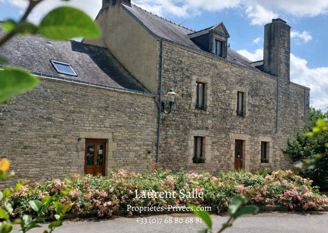 Maison à vendre, 450m², Pluherlin