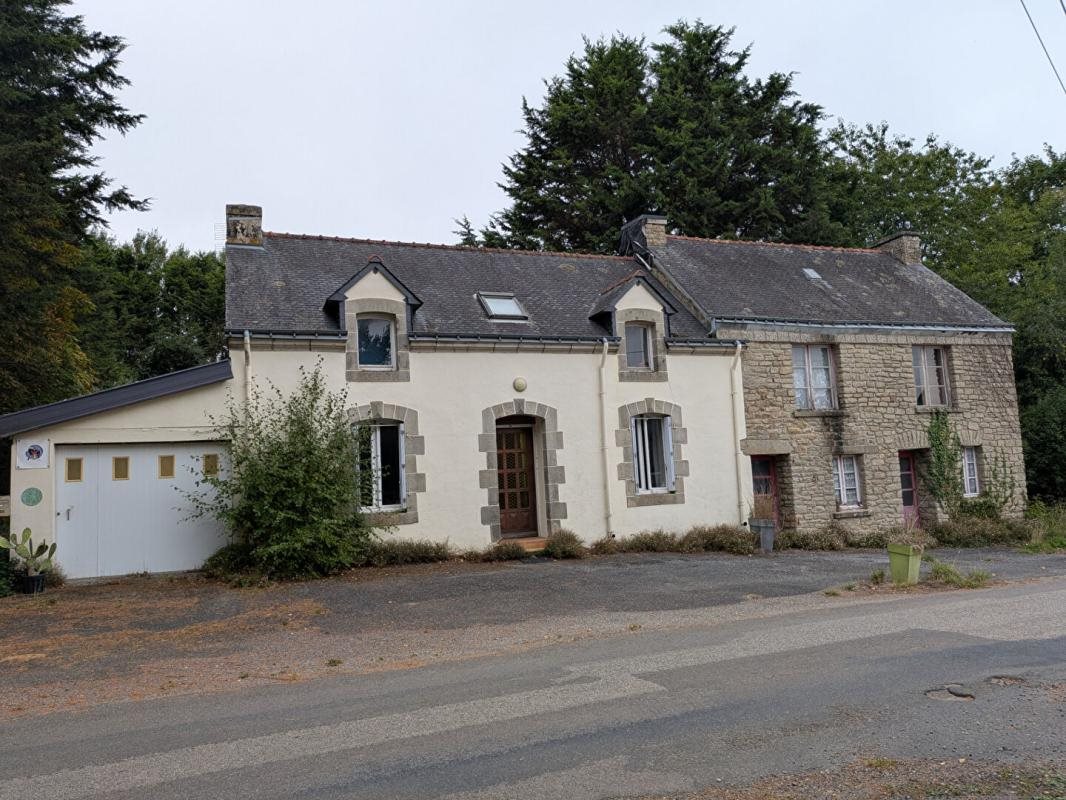 Maison à vendre, 90m², Langonnet