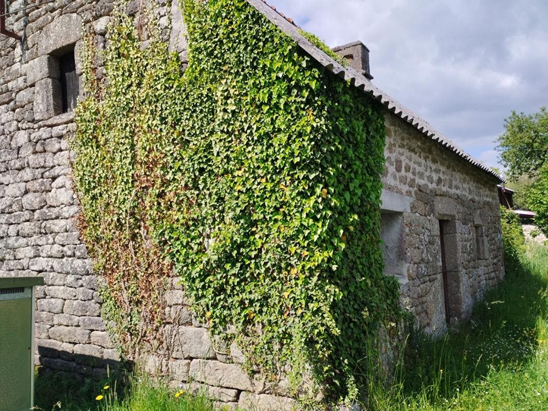 Maison à vendre, 90m², Langonnet