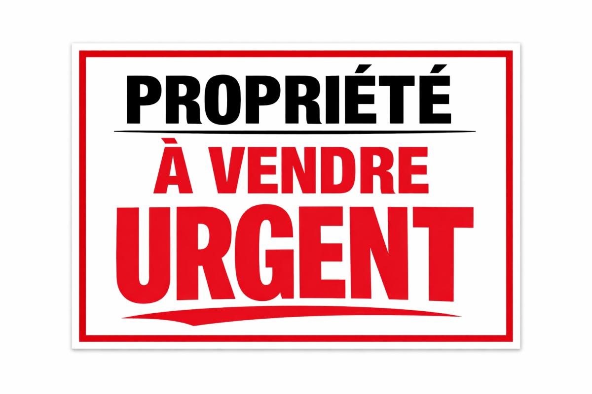 Maison à vendre, 274m², Vendôme