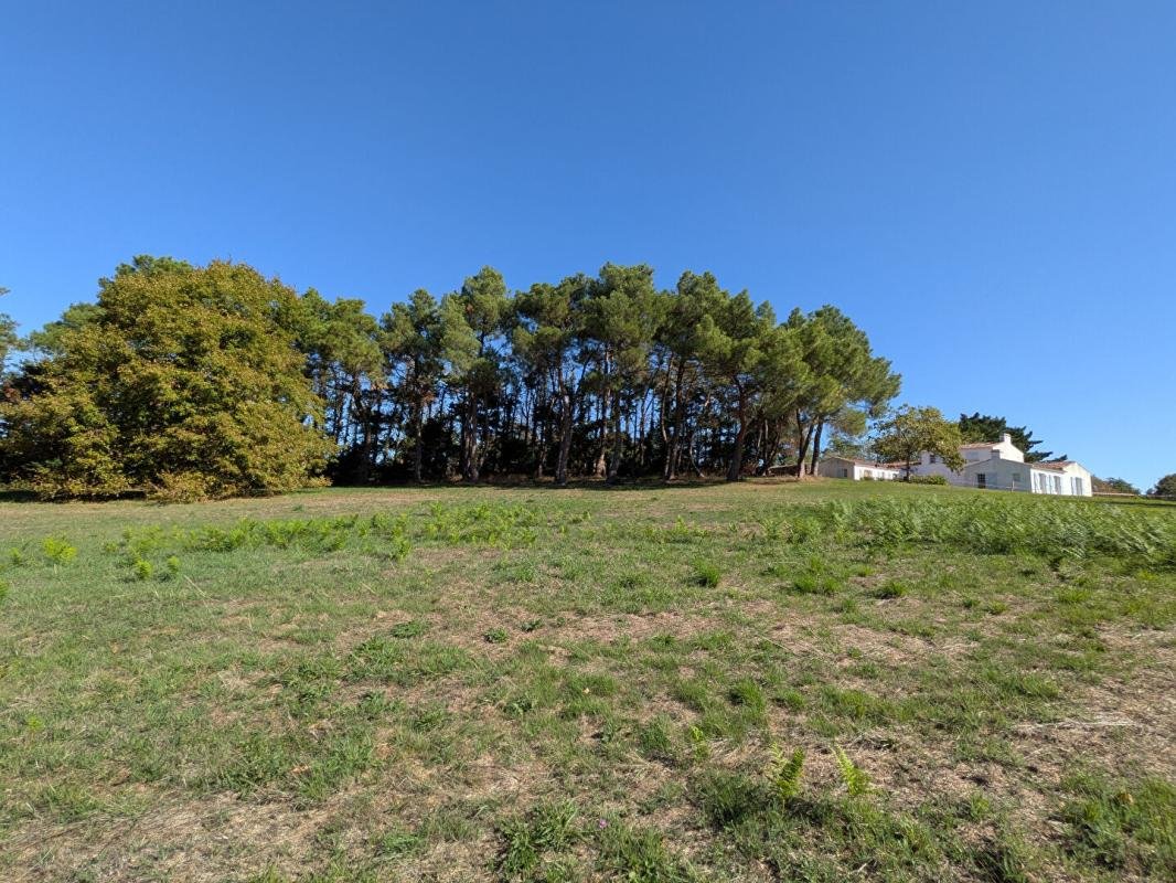 Maison à vendre, 160m², Divatte-sur-Loire