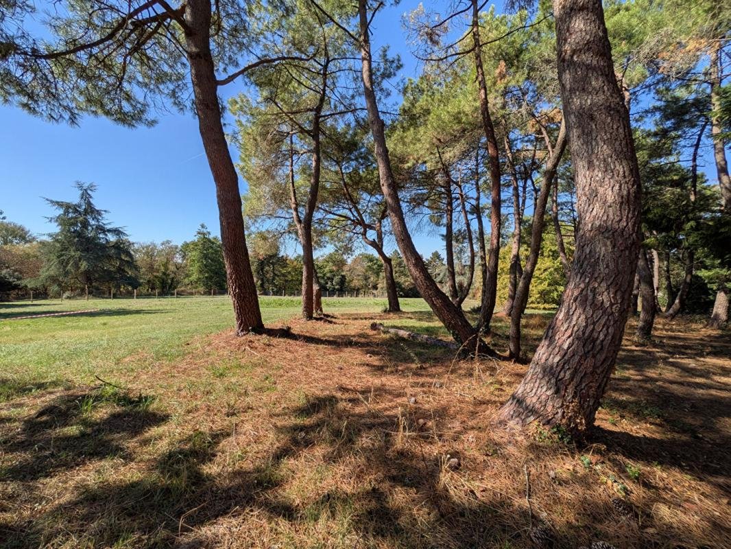 Maison à vendre, 160m², Divatte-sur-Loire