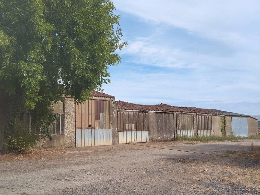 Maison à vendre, 285m², Le Loroux-Bottereau