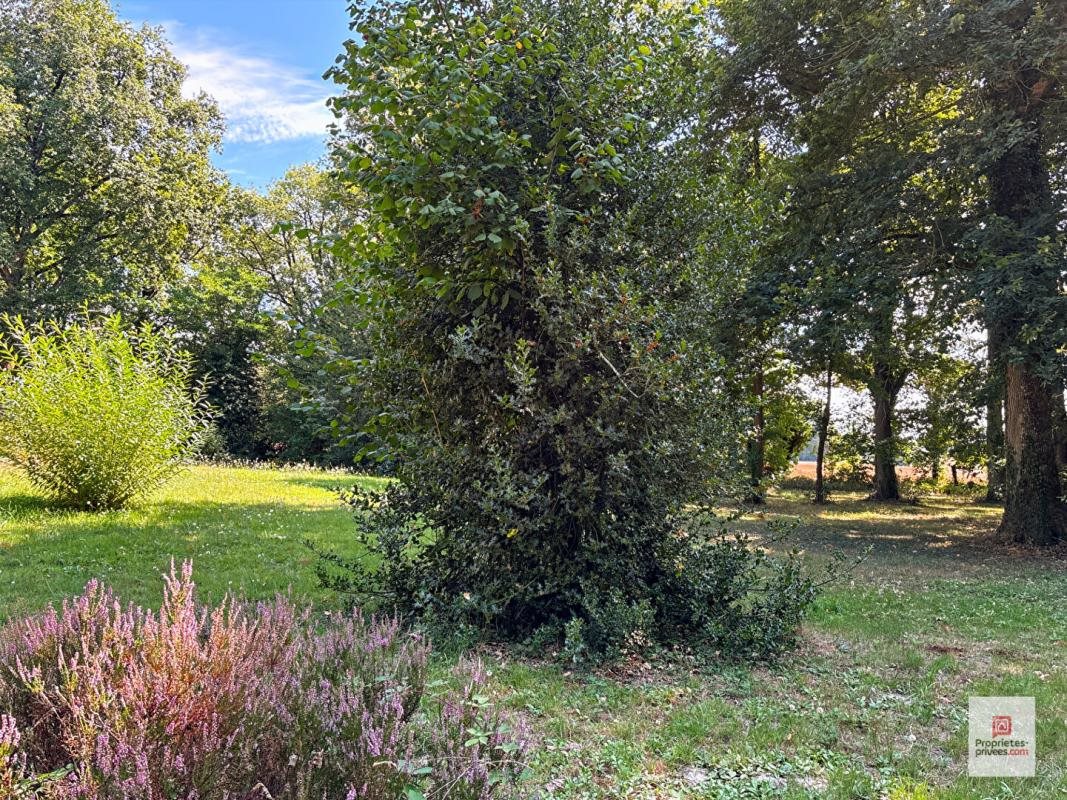 Maison à vendre, 203m², Durtal