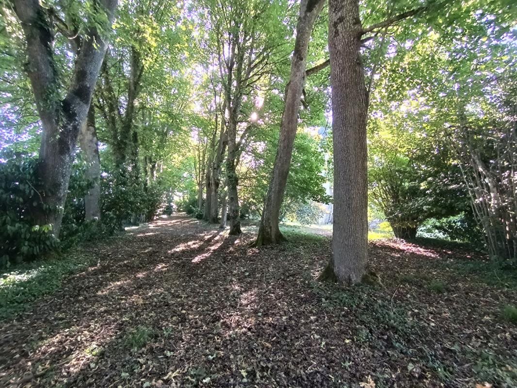 Maison à vendre, 420m², Cosne-Cours-sur-Loire
