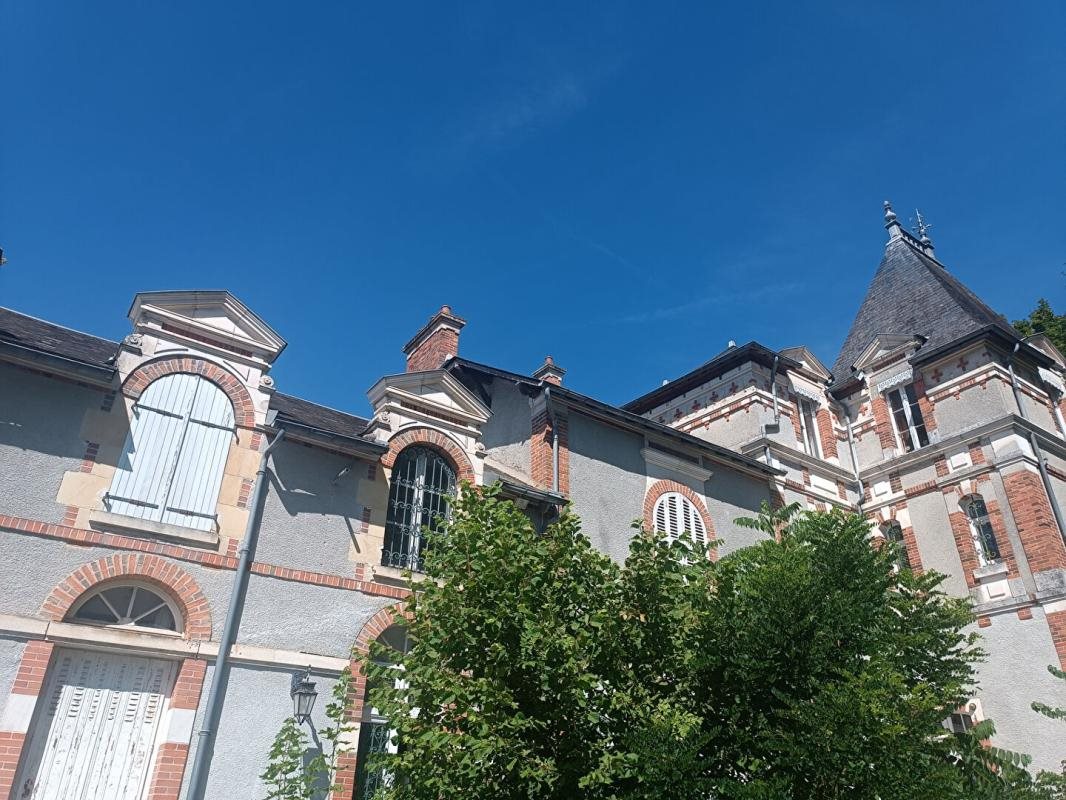 Maison à vendre, 420m², Cosne-Cours-sur-Loire