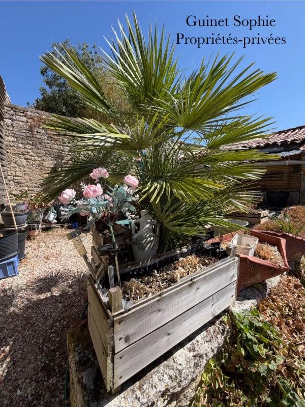 Maison à vendre, 120m², Mouzeuil-Saint-Martin