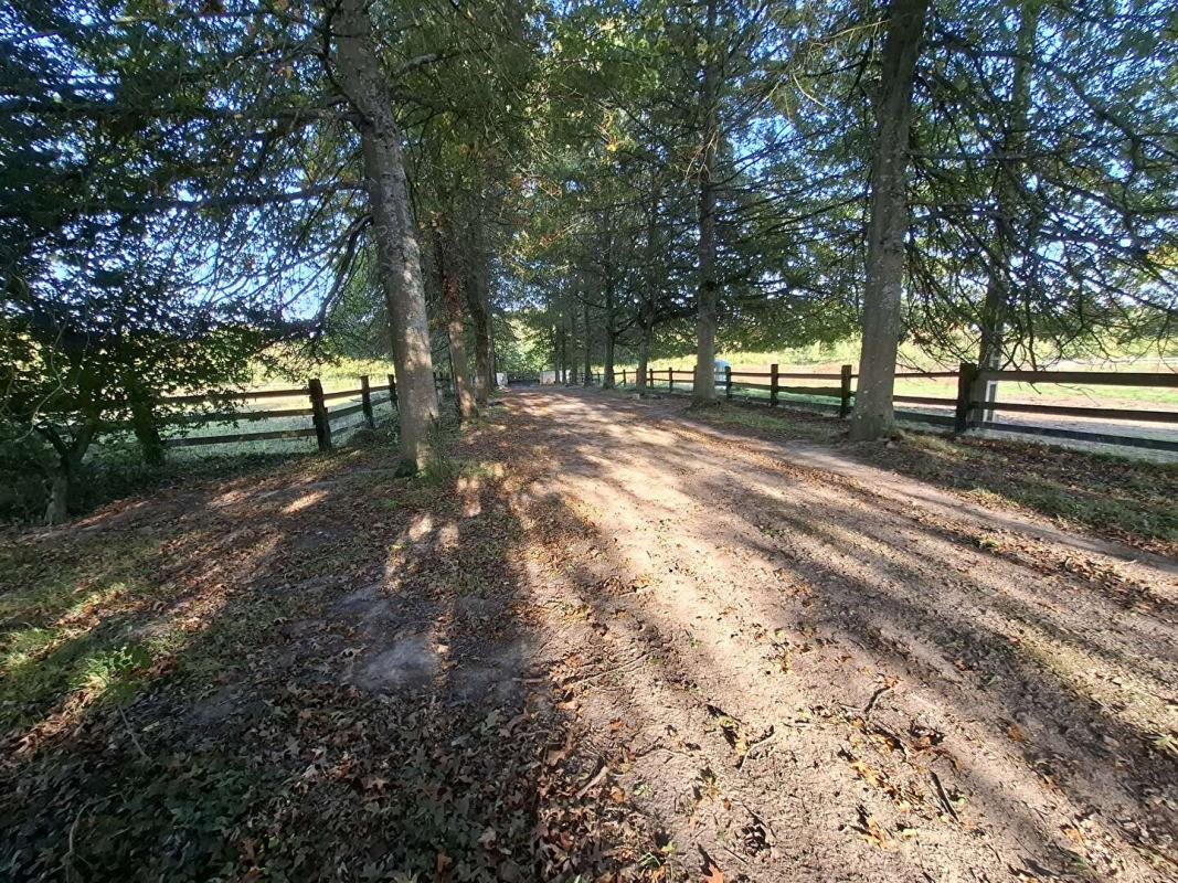 Maison à vendre, 195m², Mortagne-au-Perche