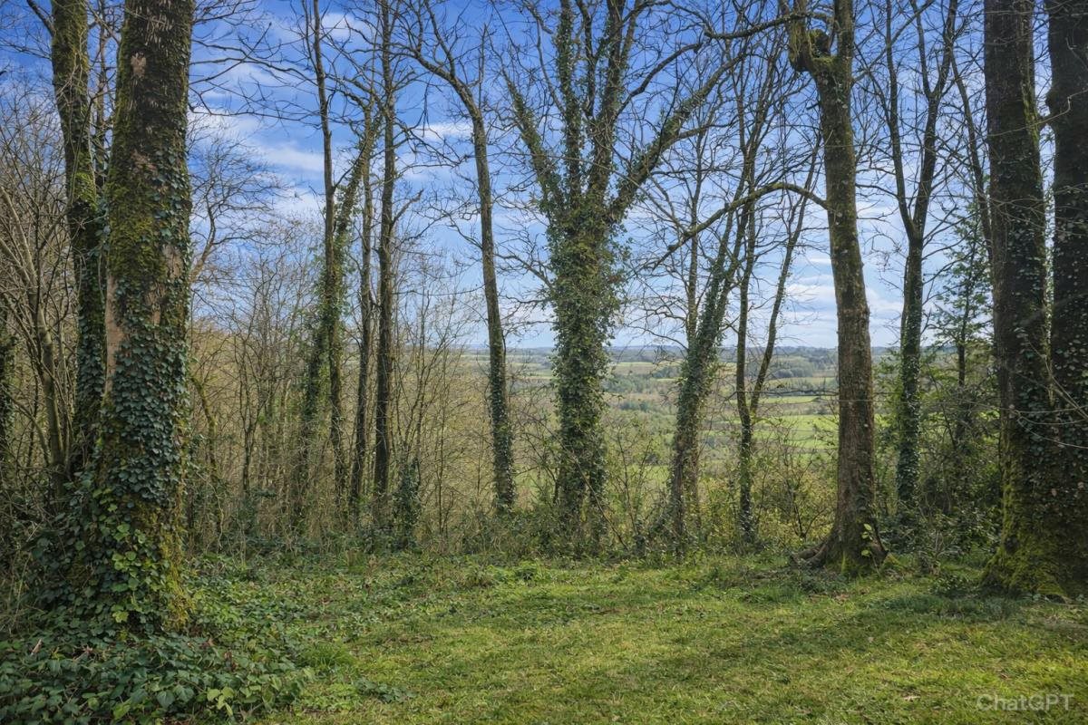 Maison à vendre, 60m², Le Mené