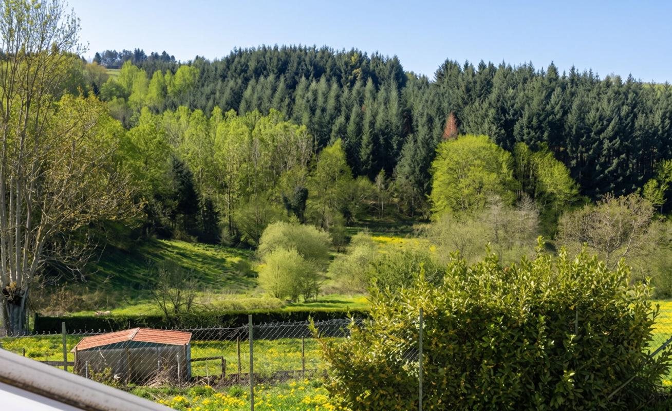 Maison à vendre, 100m², Violay