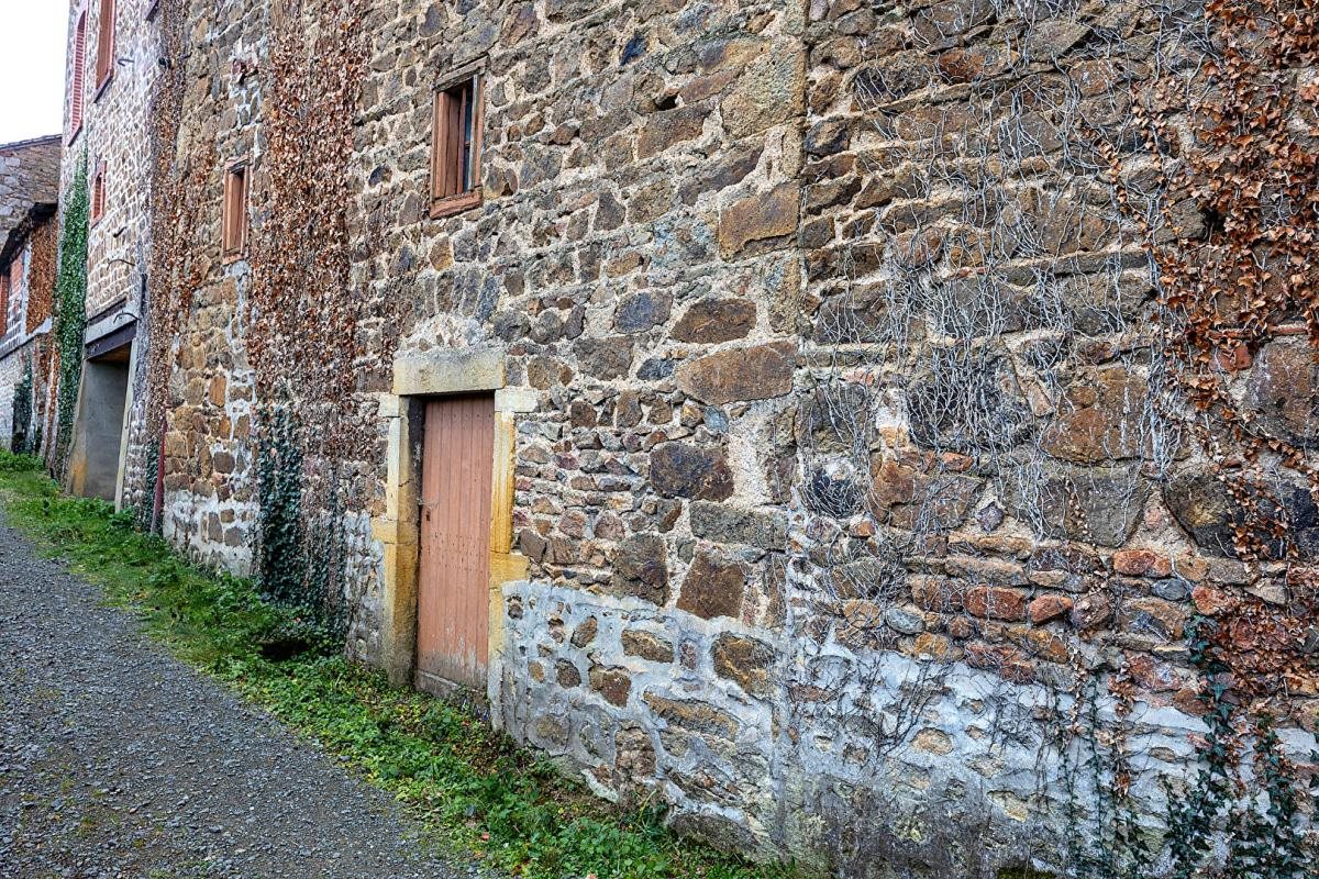 Maison à vendre, 300m², Néronde