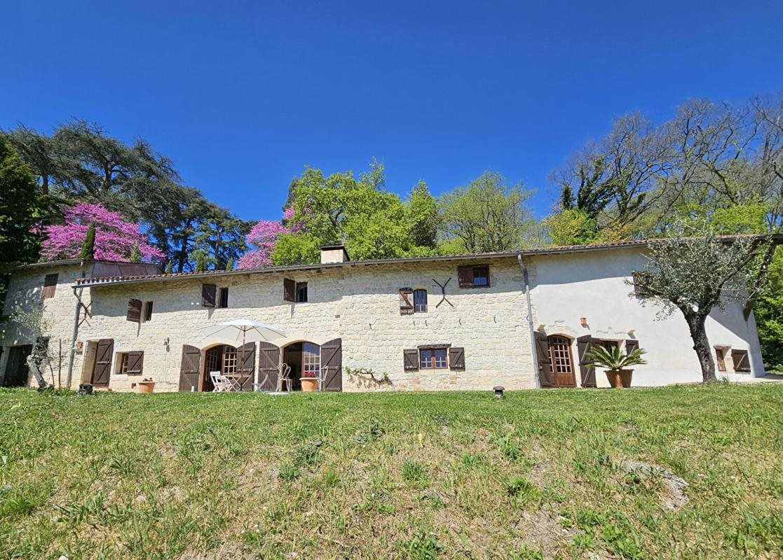 Maison à vendre, 335m², Pont-du-Casse