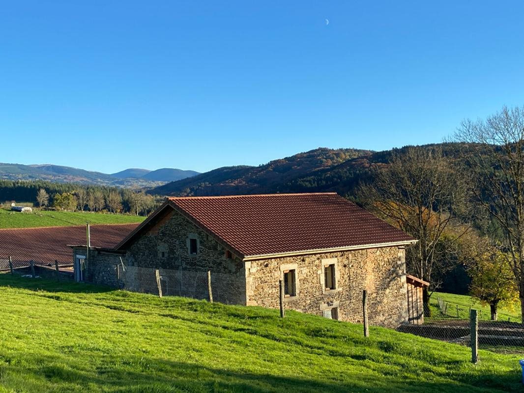 Maison à vendre, 350m², Courpière