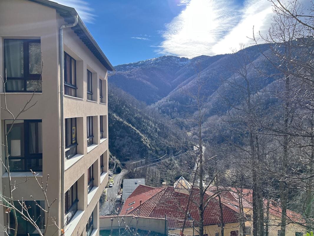 Appartement à vendre, 41m², Prats-de-Mollo-la-Preste