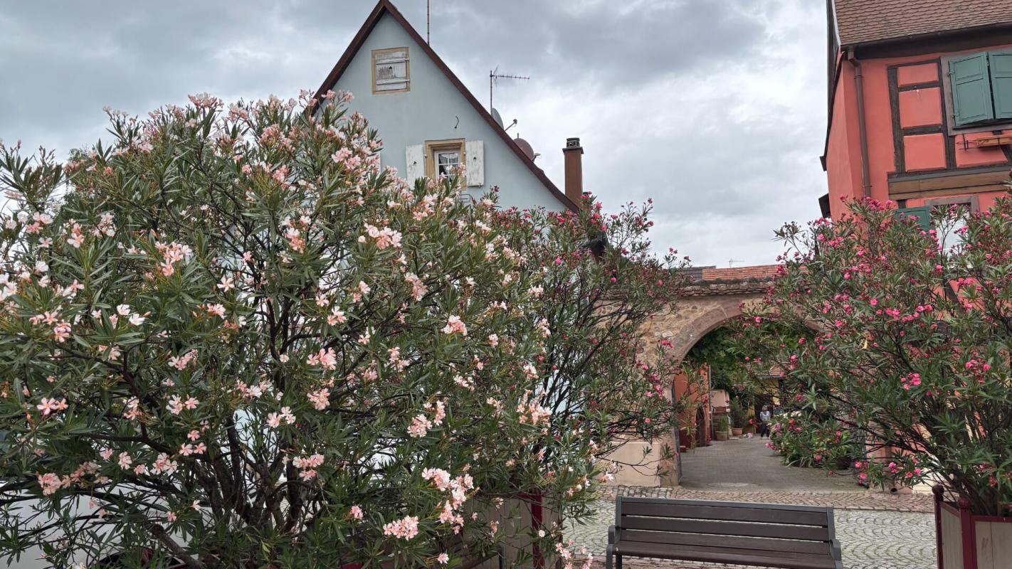 Maison à vendre, 173m², Turckheim